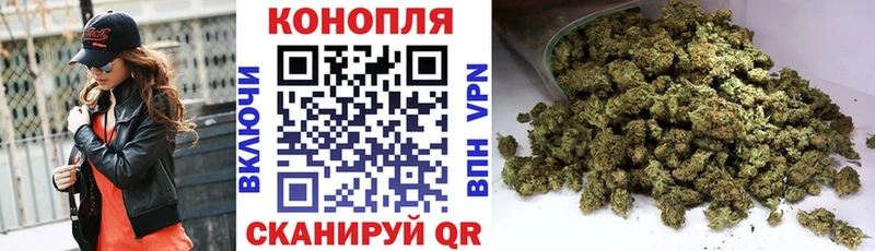 omg как войти  что такое наркотик  Судак  Марихуана OG Kush 